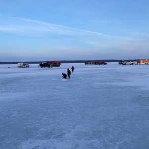 Meet your Posher, Sandy